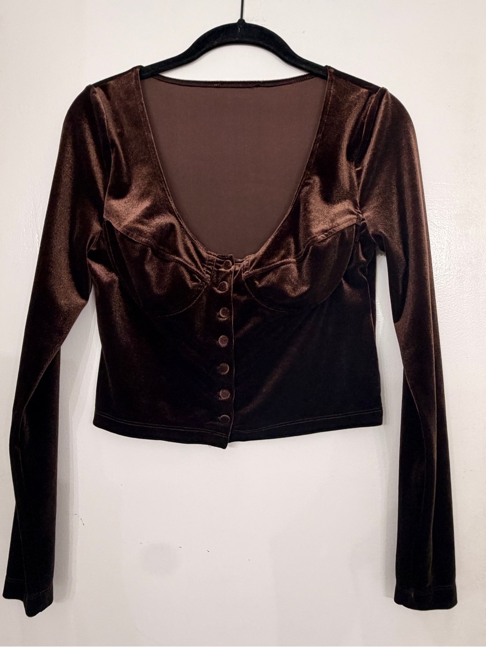 Rouje Aya Bustier Bodice Button Down Front Long Sleeve Top Velvet Brown Size XS